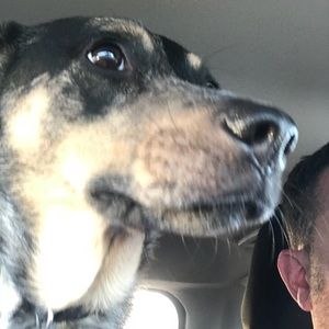 Meet your Posher, Chad